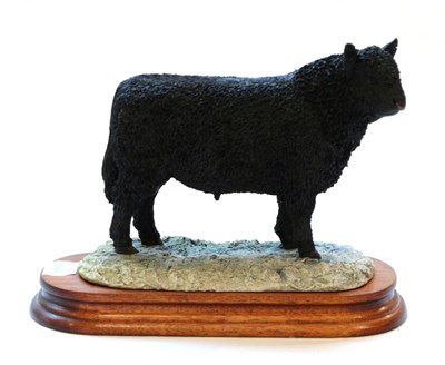 Lot 50 - Border Fine Arts 'Galloway Bull', (Style One), model No. L33 by Ray Ayres, limited edition 404/850