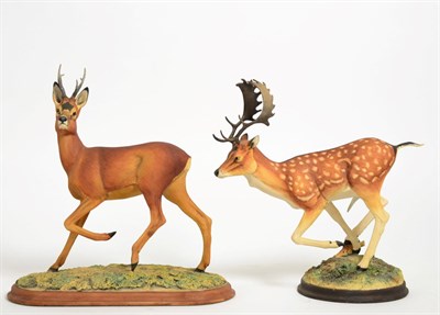 Lot 73 - Border Fine Arts 'Fallow Buck' (Style One), model No. L73, limited edition 144/850 and 'Roe...