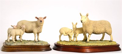 Lot 76 - Border Fine Arts Sheep Models Comprising: 'Charolais Ewe and Lambs', model No. L121 by Ray...