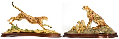 Lot 81 - Border Fine Arts 'Cheetah' (Style One), model No. L132, limited edition 65/750 and 'Cheetah and...