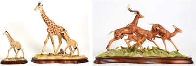 Lot 82 - Border Fine Arts 'High Browsers' (Giraffe and Calf), model No. L139 by Richard Roberts, limited...