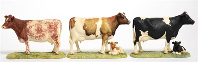 Lot 83 - Border Fine Arts 'Shorthorn Cow', model No. 161 by Ray Ayres; together with 'Friesian Cow and Calf'