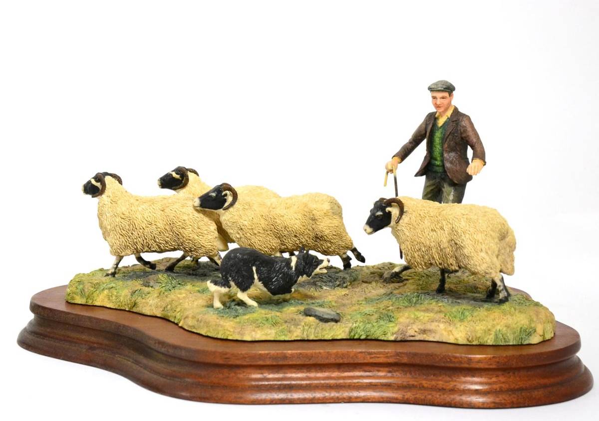 Lot 87 - Border Fine Arts 'Shedding' (Shepherd, Collie and Sheep), model No. L113 by Ray Ayres, limited...