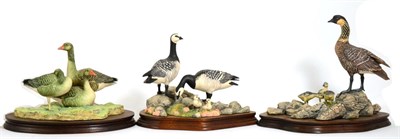 Lot 88 - Border Fine Arts Goose Models Comprising: 'Barnacle Geese', model No. PS05 by Richard Roberts,...