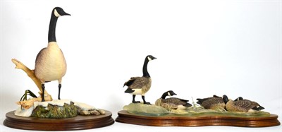Lot 89 - Border Fine Arts Goose Models Comprising: 'Canada Geese', model No. PS06 by Richard Roberts,...