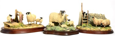 Lot 99 - Border Fine Arts 'Wrong Side of the Fence' (Ewe and Lambs), model No. JH100 by Anne Wall,...