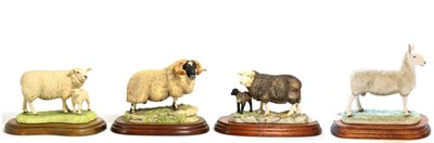 Lot 100 - Border Fine Arts Sheep Models Comprising: 'Herwick Ewe and Lambs', model No. 125 by Ray Ayres,...