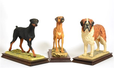 Lot 103 - Border Fine Arts Dog Models Comprising: 'Rhodesian Ridgeback' (Standing, Style One), model No....