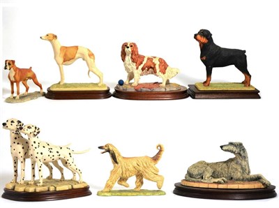 Lot 104 - Border Fine Arts Dog Models Including: 'Whippet' (Standing, Style One), model No. 080 by...