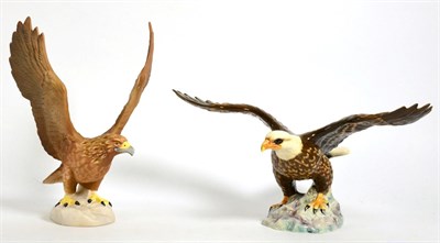 Lot 122 - Beswick Bald Eagle, model No. 1018, brown and white gloss and Golden Eagle, model No. 2062,...