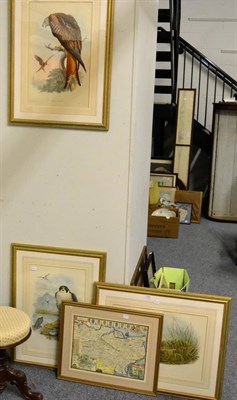 Lot 1081 - A 19th century adjustable piano stool and three ornithological prints and a map of Kent