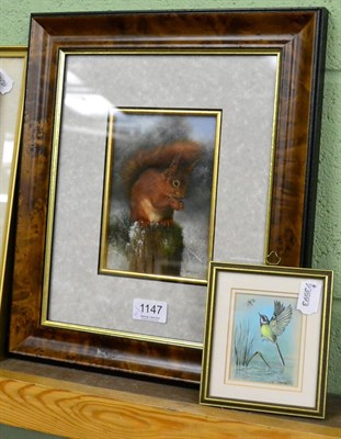 Lot 1147 - Carl Whitfield, Red Squirrel, oil, mounted, framed and glazed; together with Esther Rose, Grey...