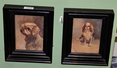 Lot 1159 - Two watercolours depicting a King Charles Spaniel and a Yorkshire Terrier