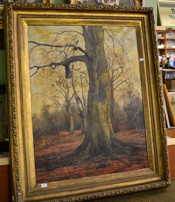 Lot 1163 - An oil on canvas depicting a woodland scene, signed C T Hollis and dated 1887