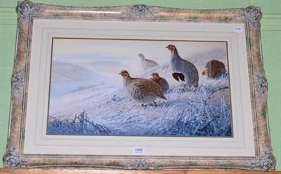 Lot 1000 - Peter Allis, partridge in a moorland setting looking towards Penhill, gouache