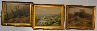 Lot 1202 - Three oil on canvas, signed J B Noel, depicting landscape and woodland scenes