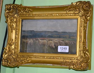 Lot 1249 - Continental School (late 19th/early 20th century) study of sheep in a landscape, oil on board