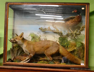 Lot 394 - Taxidermy: A late Victorian diorama case containing a red fox upon a ring necked pheasant prey,...