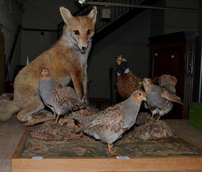 Lot 1091 - Taxidermy: A Collection of Countryside Animals &amp; Birds, including a full mount Red fox sat upon