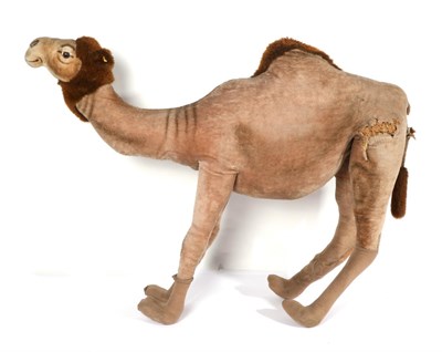 Lot 1407 - An 'enormous' Steiff straw filled camel, bearing the Steiff button and woven yellow tag, nose...