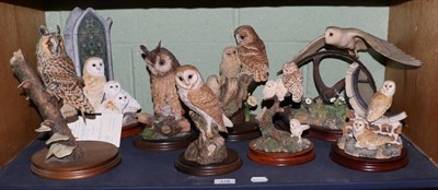 Lot 118 - Border Fine Arts Owl Models including: 'Evening Flight', model No. L107, 'Evening Reflections',...