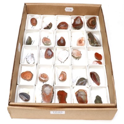 Lot 1045 - Minerals: A Tray of 26 Polished Scottish Agates, all with location labels (26)