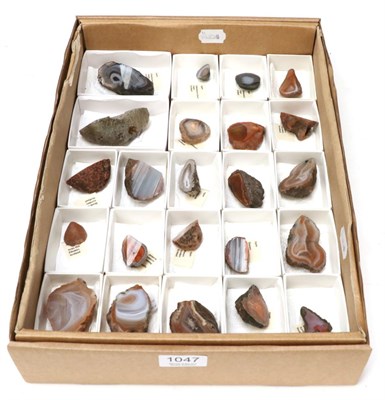 Lot 1047 - Minerals: A Tray of 23 Polished Scottish Agates, all with location labels (23)