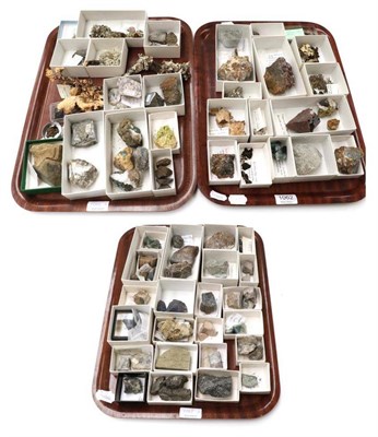 Lot 1062 - Minerals: A Collection of Dried Lichens and Mineral Specimens including; several meteorites and...