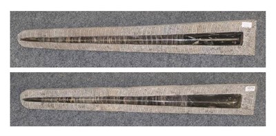 Lot 1073 - Fossils: Two Orthoceras from the Atlas Mountains, Morocco, 400 million years old, the ancestors...