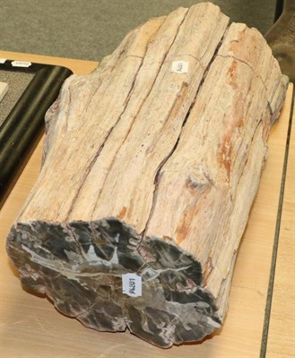 Lot 1084 - Fossils: Fossil Wood Tree Trunk, from Madagascar.  This large piece from the Triassic showing...