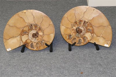 Lot 1093 - Fossils: Ammonite, split pair, preserved in honey Calcite, from Tulear, Madagascar.  A very...