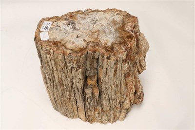 Lot 1095 - Fossils: Agatised Fossil Wood Trunk with Polished Top, Madagascar, Triassic period, 240 million...