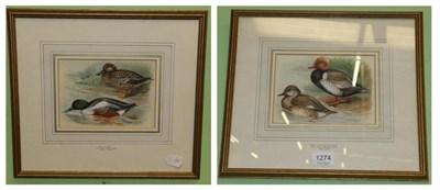 Lot 1274 - Lillian Medland (1880-1955), ";Red Crested Pochard"; and ";Shoveller";, both signed, inscribed...