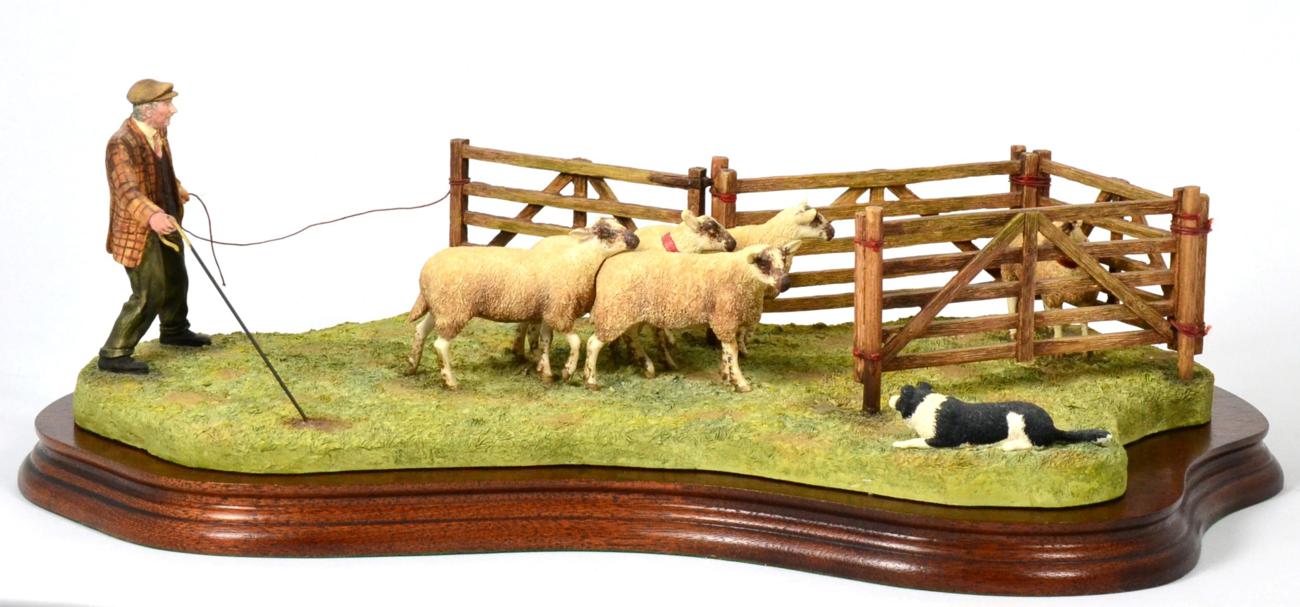 Lot 4 - Border Fine Arts 'Anxious Moment' (Penning Sheep), model No. B0584 by Ray Ayres, limited...