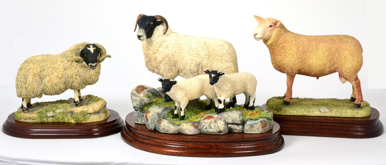 Lot 8 - Border Fine Arts 'Blackie Ewe and Lambs', model No. B0887 by Ray Ayres, limited edition...