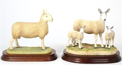 Lot 10 - Border Fine Arts 'Border Leicester Tup', model No. L163 by Ray Ayres, limited edition 223/950,...