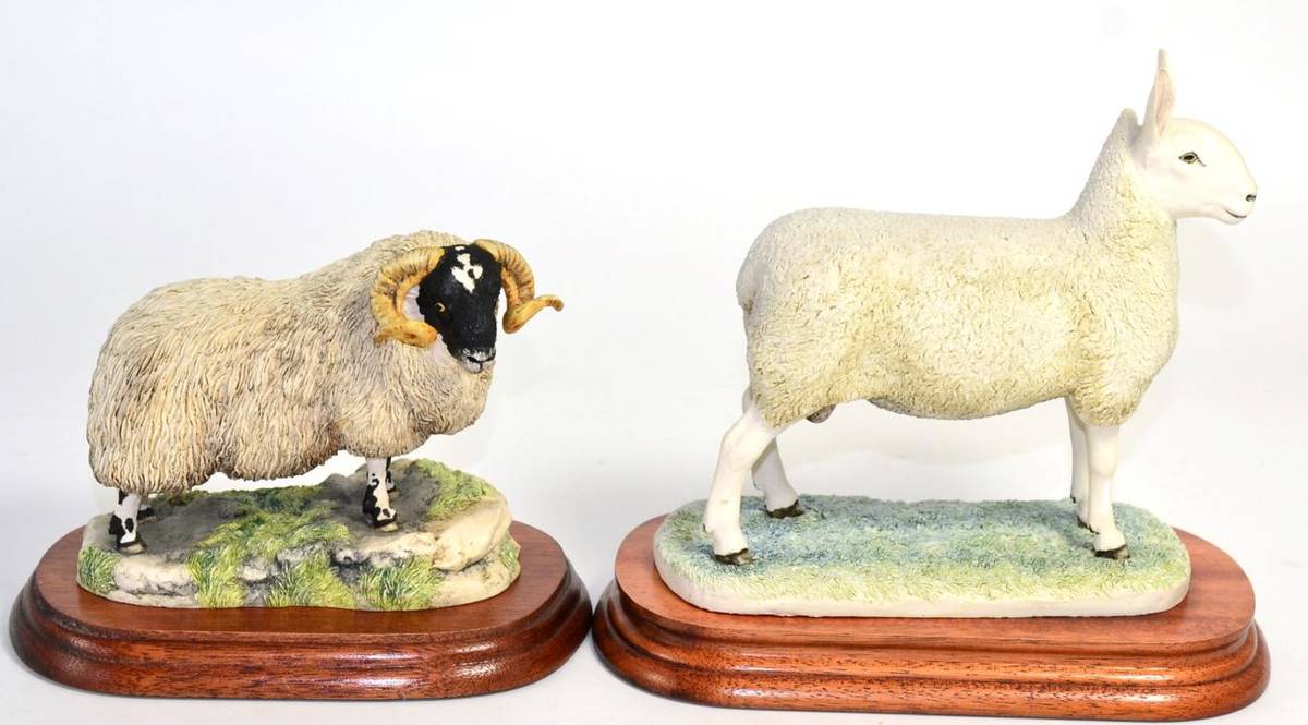Lot 11 - Border Fine Arts 'Border Leicester Tup', model No. L163 by Ray Ayres, limited edition 813/950,...