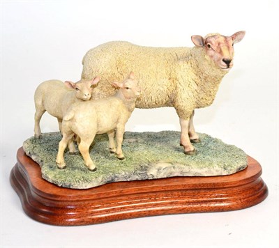 Lot 18 - Border Fine Arts 'Charolais Ewe and Lambs', model No. L121 by Ray Ayres, limited edition...