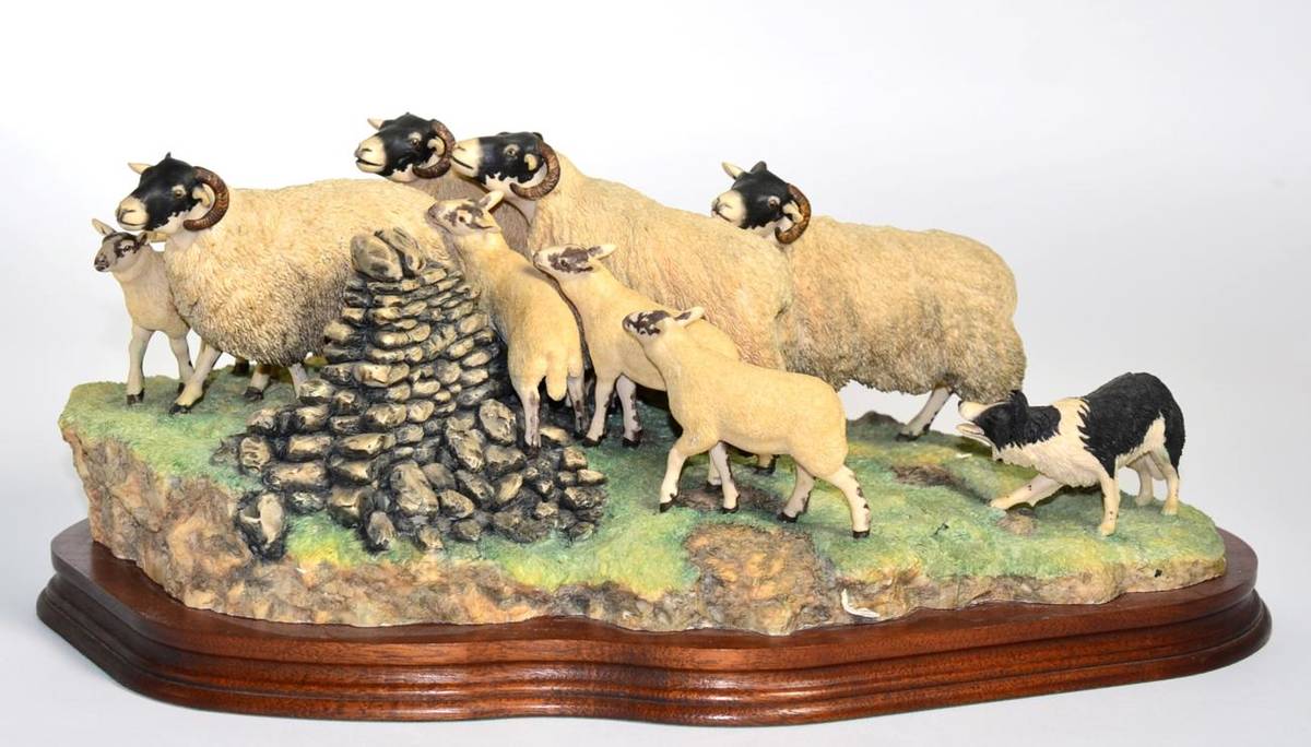 Lot 29 - Border Fine Arts 'Gathering in the Strays' (Sheep and Collie), model No. JH28 by Ray Ayres, limited