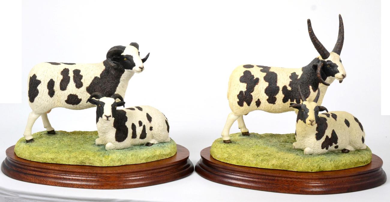 Lot 38 - Border Fine Arts 'Jacob Sheep' (Four-Horned), model No. B0352, limited edition 422/750 and...