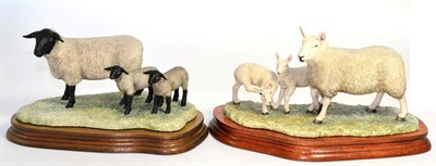 Lot 50 - Border Fine Arts 'North Country Cheviot Ewe with Scotch Halfbred Lambs', model No. L147 by Ray...