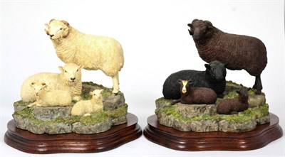 Lot 57 - Border Fine Arts 'Shetland Sheep Family Group', model No. B0597A, White, limited edition...
