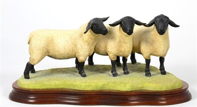 Lot 65 - Border Fine Arts 'Suffolk Family Group' (Ram with Gimmer and Ewe Lambs), model No. B0197 by Ray...