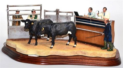 Lot 84 - Border Fine Arts 'Under the Hammer' (Limousin Cross), model No. B0666A by Kirsty Armstrong, limited