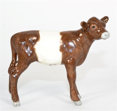 Lot 93 - Beswick Belted Galloway Calf, model no. 1249, brown and white gloss