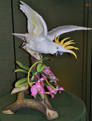 Lot 123 - Connoisseur of Malvern porcelain model 'Australian Cockatoo' perched on a branch base, wrapped...