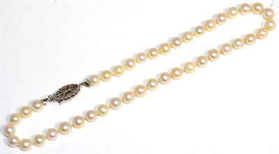 Lot 313 - A cultured pearl necklace with an 18 carat white gold ruby set clasp, a uniform strand of...