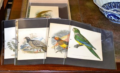 Lot 366 - A collection of twenty three unframed 19th century hand coloured lithographs of ornithological...