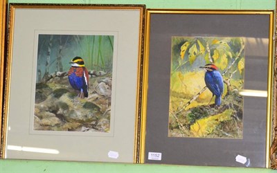 Lot 1152 - Martin Woodcock (Contemporary) ";Banded Pitta"; and ";Blue Pitta (South-East Asia)";, each...