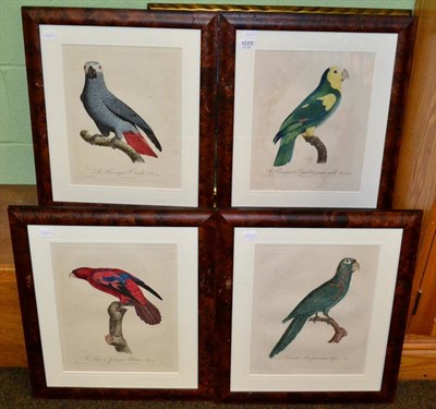 Lot 1033 - A set of four hand coloured, 19th century ornithological engravings